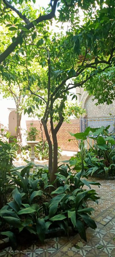 Riad Dar Zaida Marakeş Dış mekan fotoğraf